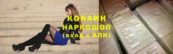 дживик Бронницы