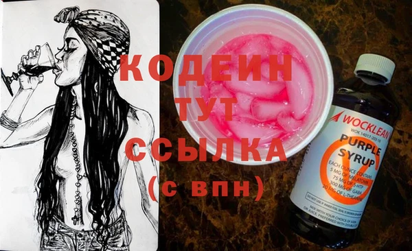дживик Бронницы