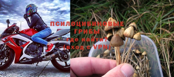 дживик Бронницы
