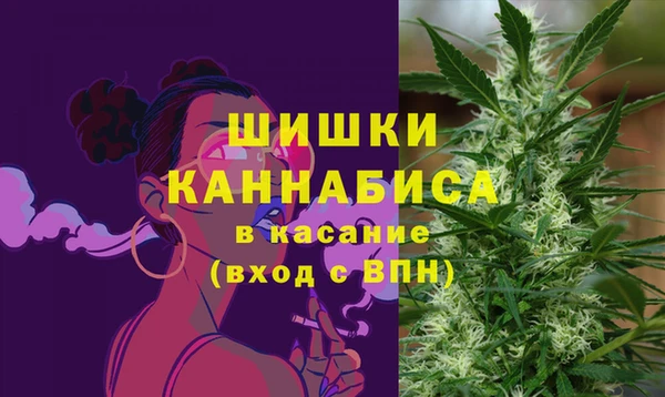 дживик Бронницы
