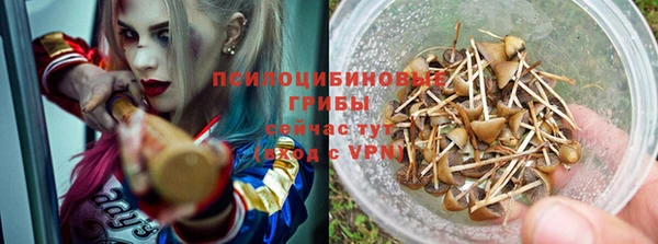 прущий лед Богородск
