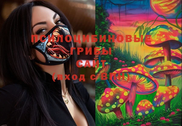 прущий лед Богородск