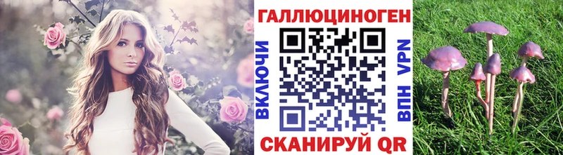 Псилоцибиновые грибы MAGIC MUSHROOMS  Владикавказ 